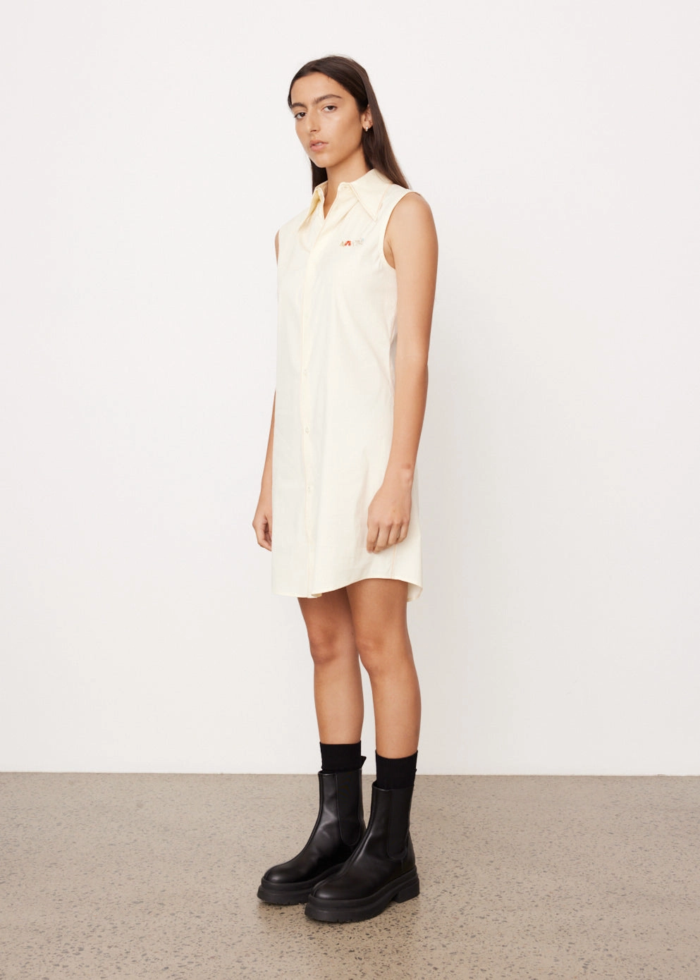 Antique Dress