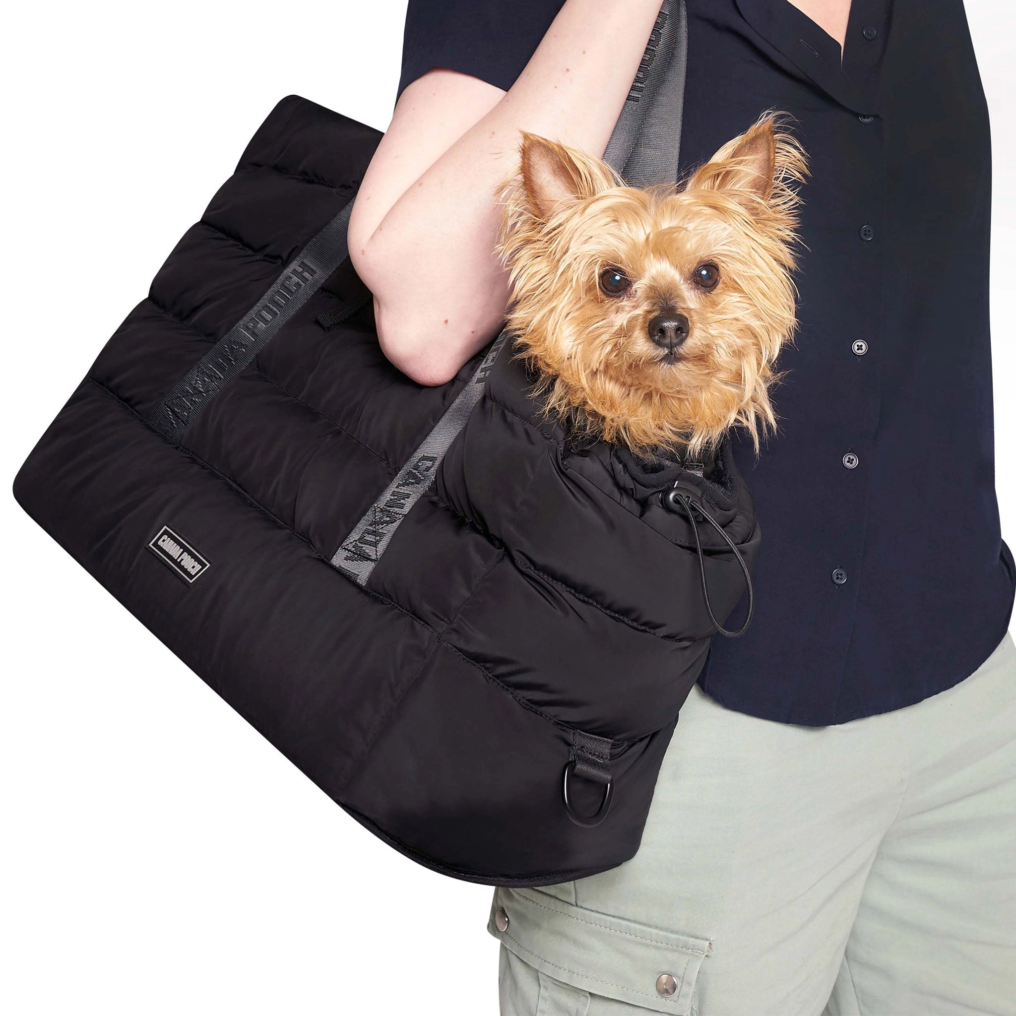 Canada Pooch Pet Carrier Black Dog Travel