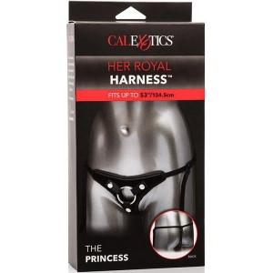 Her Royal Harness The Princess