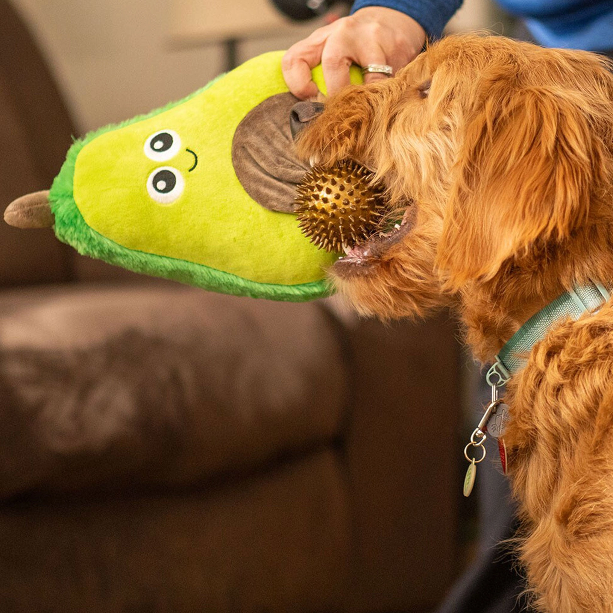 Thoozy Pet Avocado Green Dog Toys