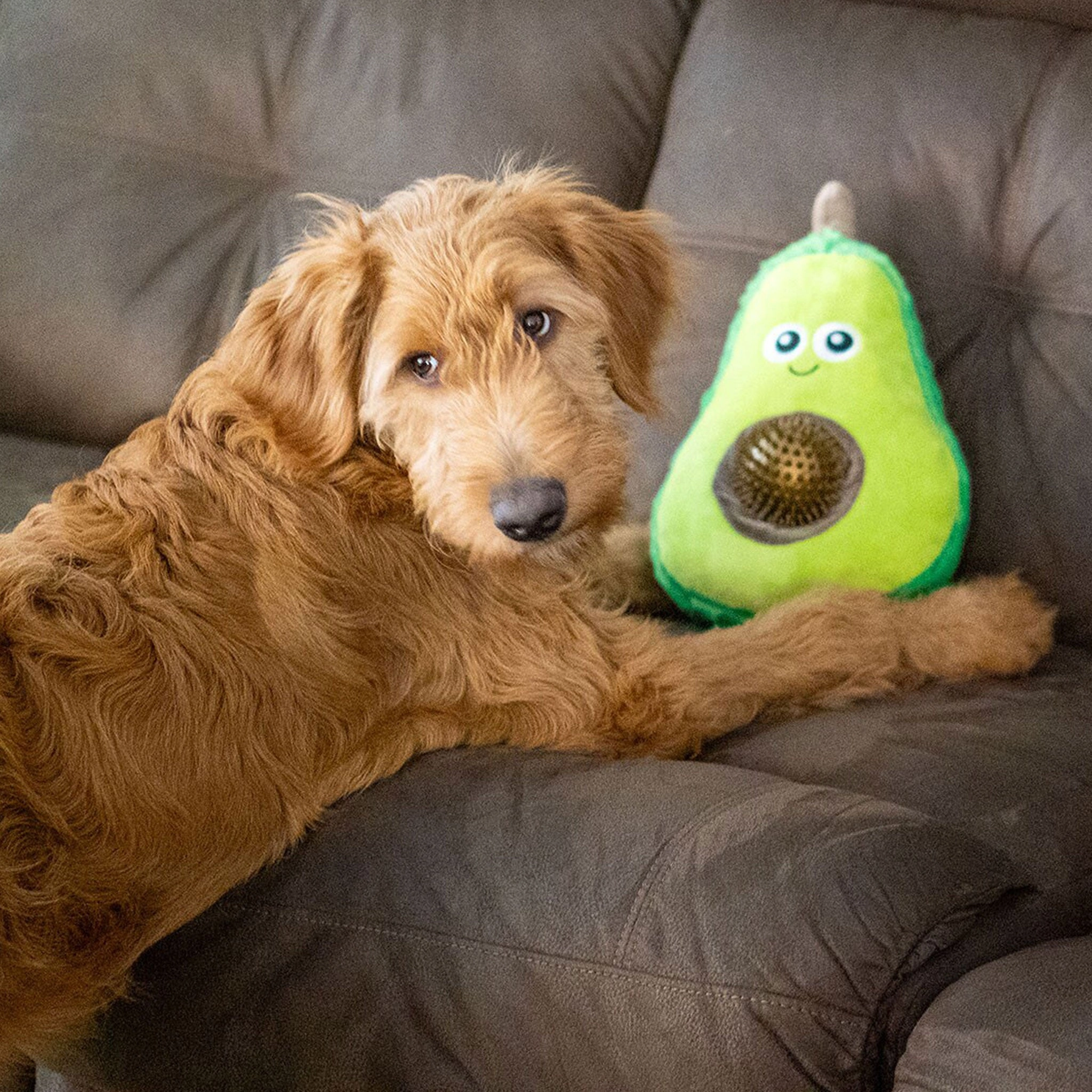 Thoozy Pet Avocado Green Dog Toys