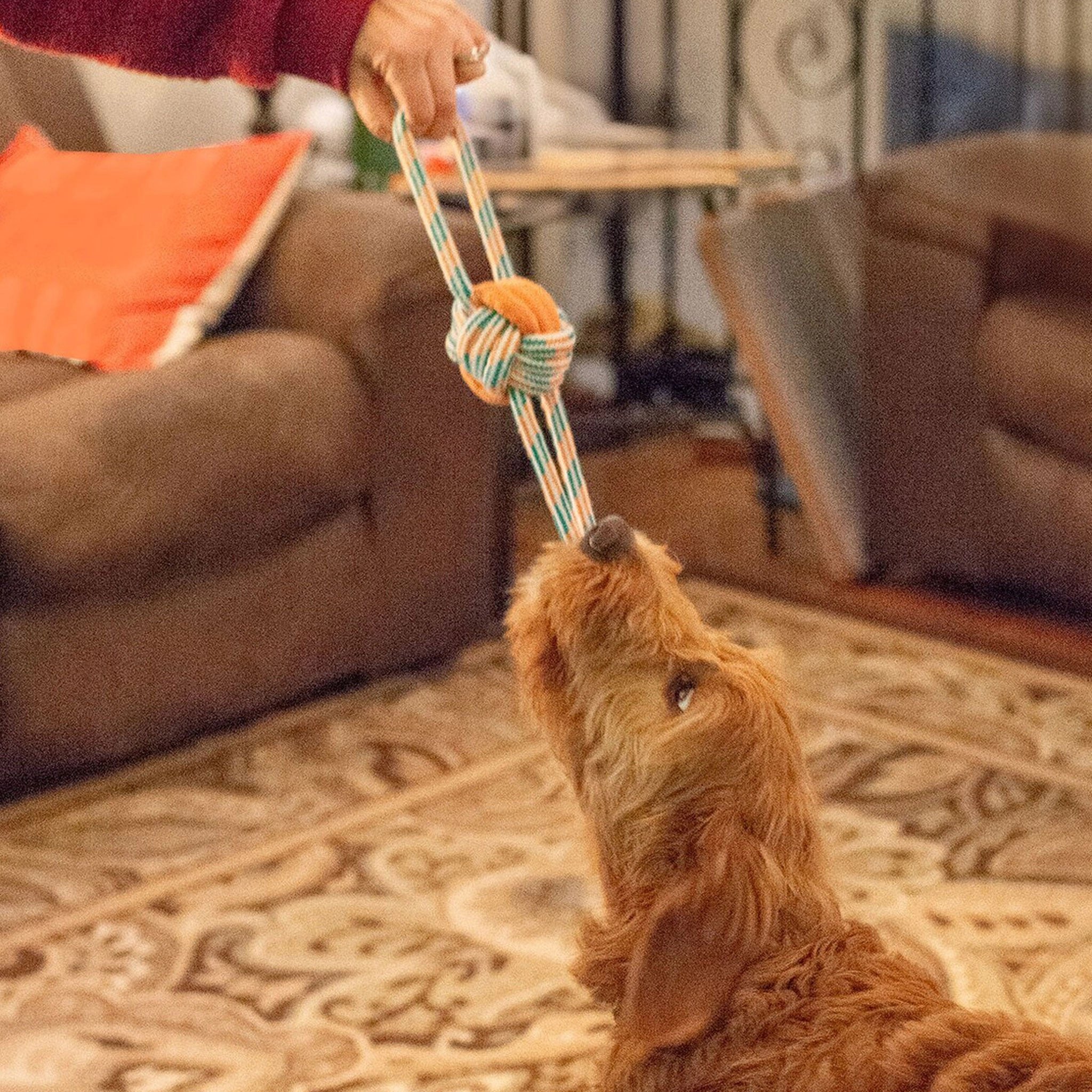 Thoozy Pet Figure 8 Rope Knot Orange & Teal Dog Toys