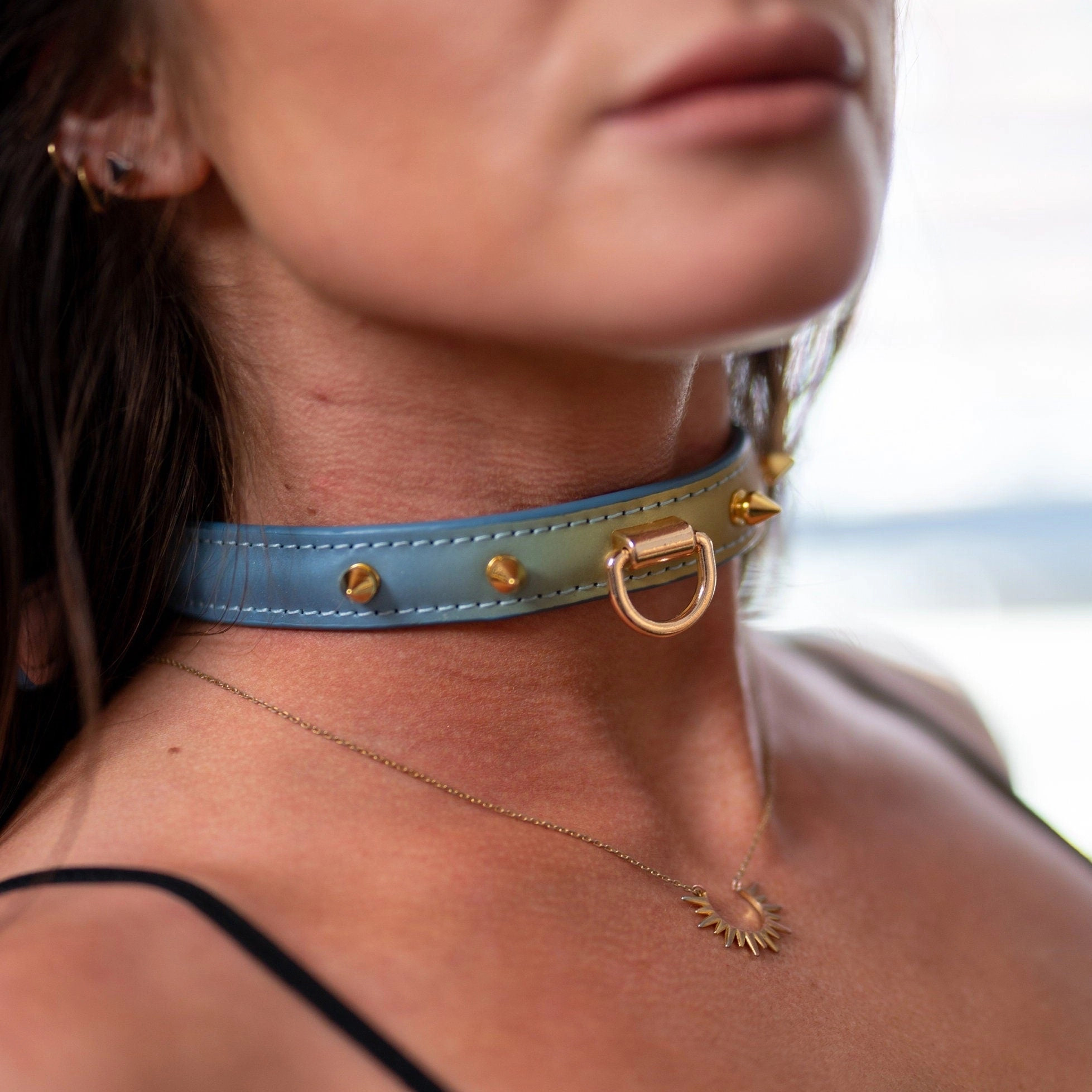 Vibe Collar & Leash